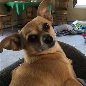 Meet your Posher, Joanne